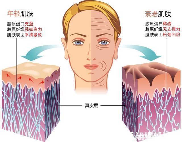 胶原蛋白|这个东西千万不要图便宜，一分价钱一分货