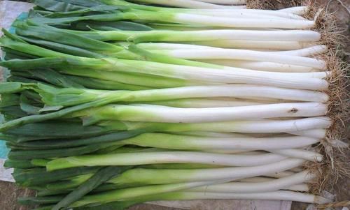 延缓衰老|秋季到了,女人多吃以下食物,补充营养,延缓衰老,早吃早好!