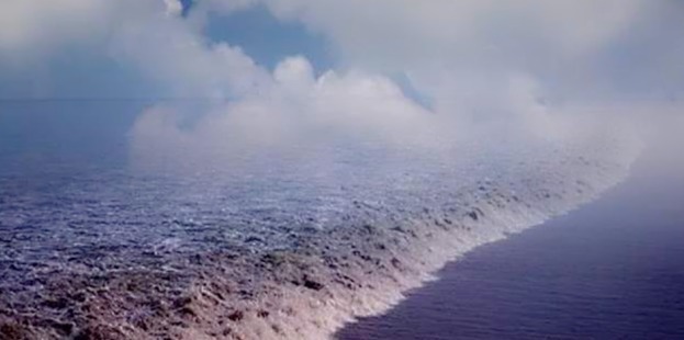 泛海!王阳明一首七言绝句,贯穿古今,荣辱不惊,不愧为千古圣人!