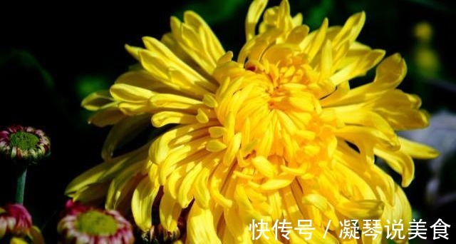 补血|人到中年要长寿,可以多吃三种食物,美容养颜,增强体质!