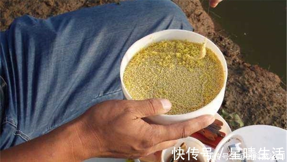 大鲫|夏季鲫鱼难钓,用长竿短线蘸米钓,杂鱼不闹钩,底钓大鲫很优秀