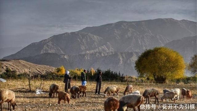 中国唯一一个一县连三个国家的地方，你知道是哪吗？