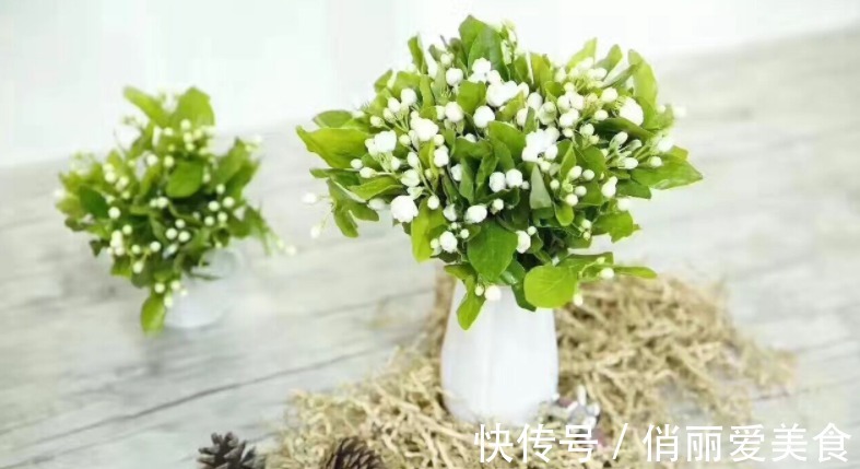 夏季养茉莉，想花开爆盆，芳香四溢，盆栽管理得注意此3点