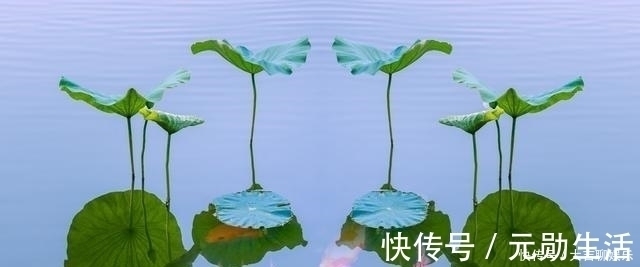 真静&道德经:一个人能定得住自己,常常清静,不害怕孤独,自然有觉悟
