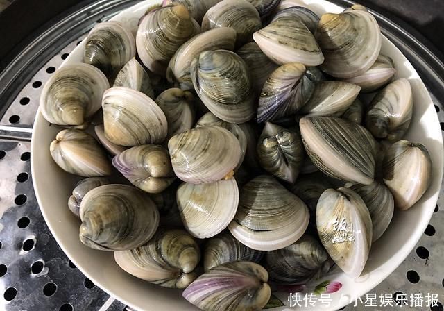 禁渔期|吃花蛤不如吃它,肉多肥美,才5块钱一斤,蒸一蒸,鲜嫩美味