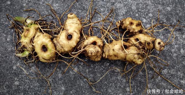 吃黄精——可以黑发,补肾,抗衰老抗疲劳,养生