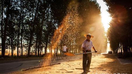 四大|农村有“四大怕、四大喜、四大急、三大宝”,道出农村人的智慧