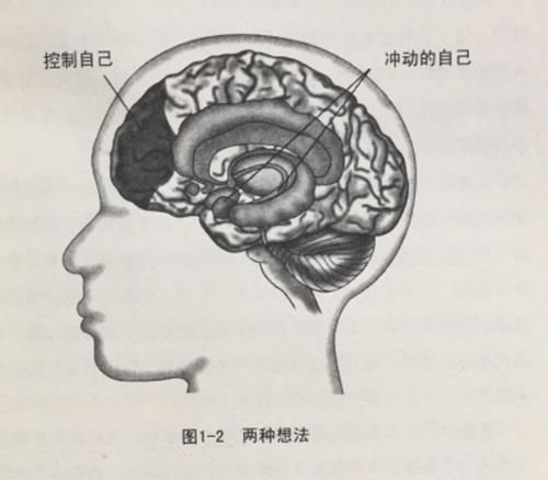 方法|自控力强的孩子更容易成功！3个方法，轻松锻炼孩子自控力