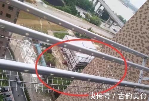 邻居|邻居家把阳台晾衣杆弄成这样,简直太机智了,回家也模仿一个