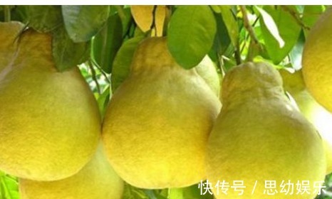 天门东素|人到中年想长寿,要学会吃的食物,保护肝脏,清理血管垃圾