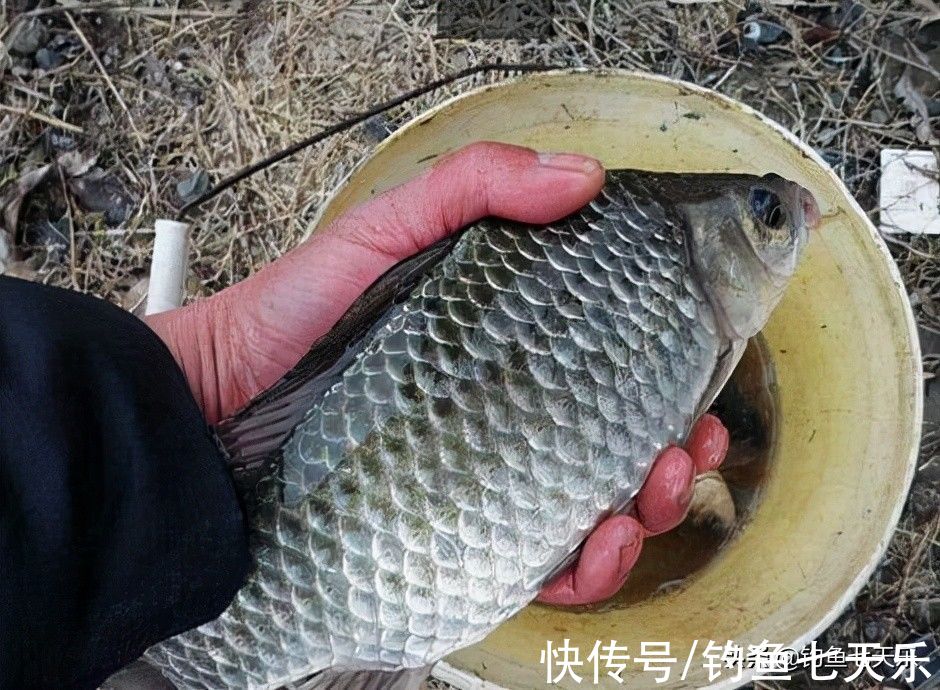 钓不到大鱼还不懂得舍弃，注意这三点，竿竿出大鱼