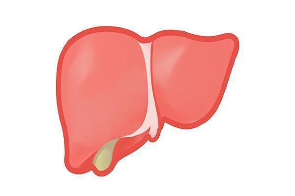 硒元素|肝不好,大多缺乏硒元素,常吃一些食物,帮你排毒养肝远离肝病