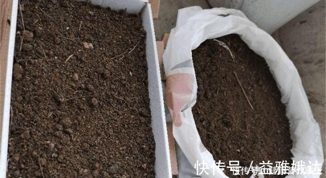 腐叶土|家庭养花,土从哪里来3个方法,不花一分钱,就能自制营养土了!