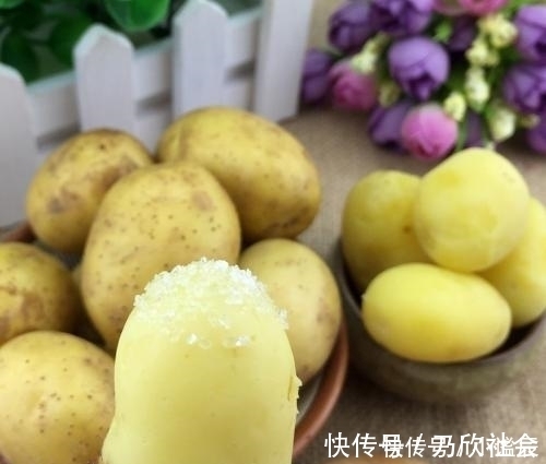 白心土豆和黄心土豆,营养上有区别吗?告诉你日常炒菜,选哪一种