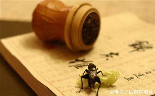 脏话|史上有名的6句“脏话”,骂人不带脏字,不知道还以为是在夸你