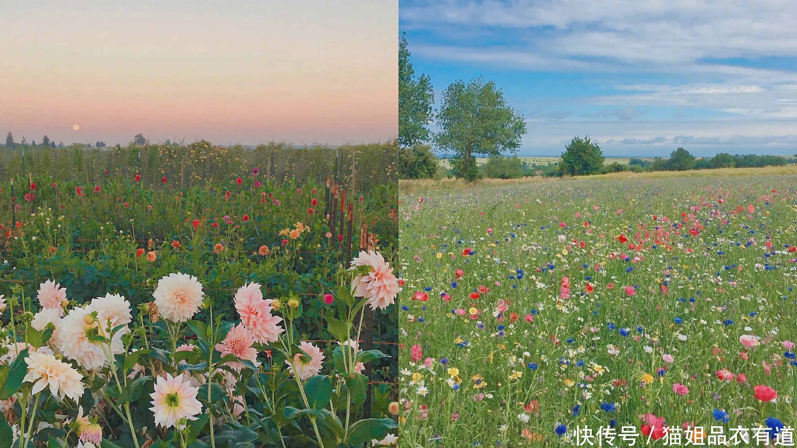 彩色|真正高级的女人,不会只穿黑白灰,看三木的“彩色穿搭”就懂了