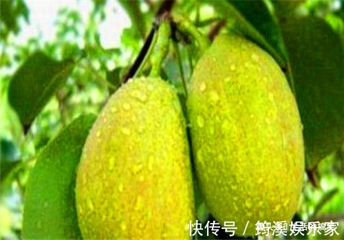 长寿|人到中年想长寿,不妨多吃4种食物,促进血液循环,增强抵抗力