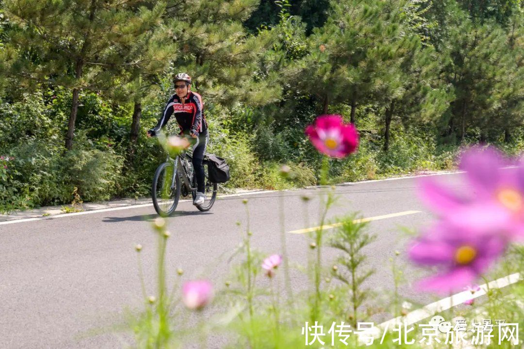 居庸关|这个风景秀美的村庄，溪流叠水，野花遍地，现在去正好~