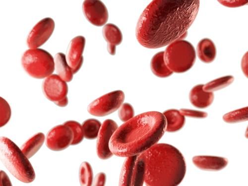 记忆力|叶酸不只适合孕妇吃,这2类人要及时补充,能给身体带来这些好处