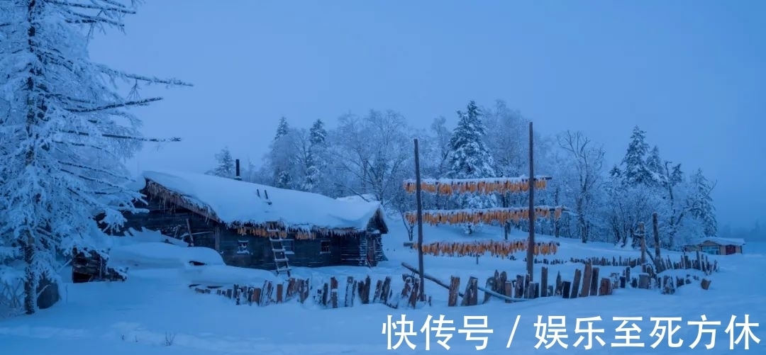 梅花#不知不觉,冬已深