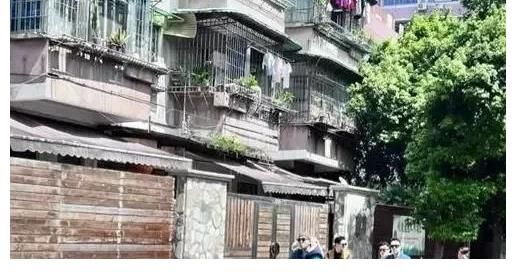 張智霖|明星去菜市場(chǎng)街坊的反應(yīng)很意外，陳小春和張智霖等明星現(xiàn)身廣州錄制節(jié)目