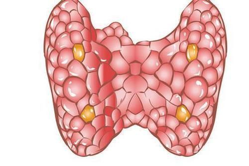 日常生活中|甲状腺出现结节不要怕,记住5吃3不吃,结节或许会慢慢变小!