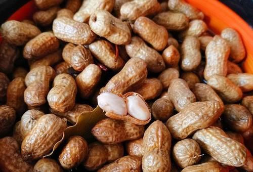高脂蛋白血症|生花生和熟花生，哪个更营养？医生：5类人最好少碰，别不当回事