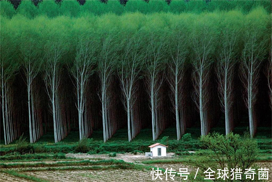 摄影|35张“活久见”的完美图片,强迫症瞬间被治愈了