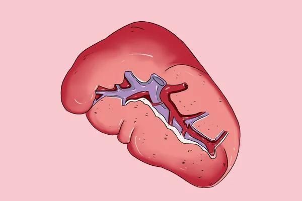 太白穴|脾虚人就废一半，脾最怕什么教你不花钱的方法，脾脏逐渐变强壮
