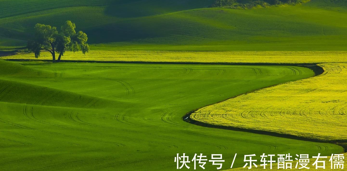 山露水|修炼城府,从不勾心斗角的星座,知世故而不世故,格局观看得高远