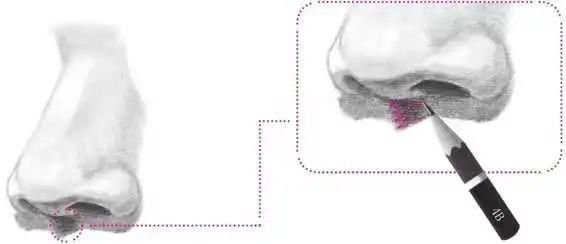 零基础素描教程：分步骤讲解3/4侧面鼻子画法，简单易学，快临摹