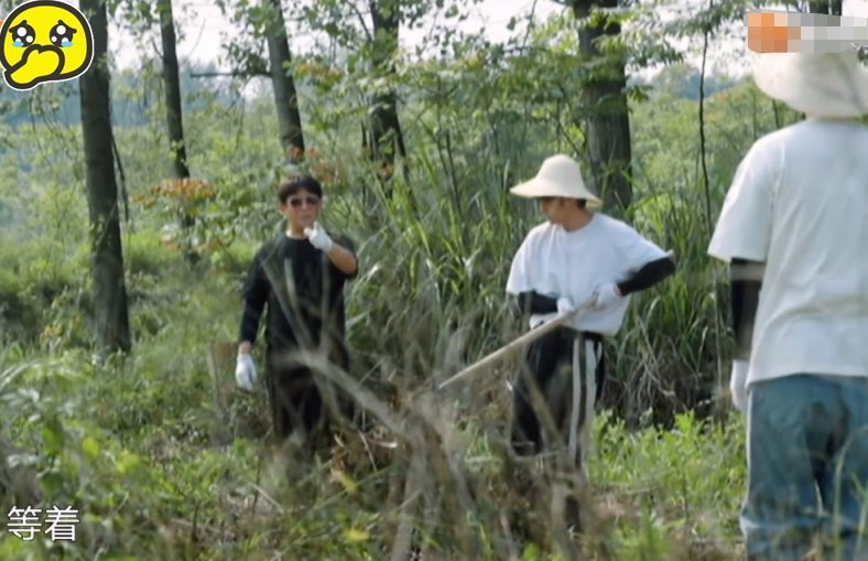 绿豆糖水|明月解说:最“富”石心城石锤了!装备遍地有,一栋房子顶一座城