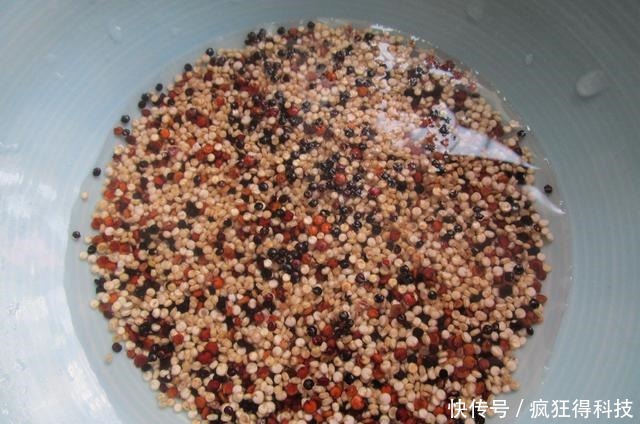 我家最近迷上它,简单1蒸就上桌低糖好吃不长胖,强壮身体显年轻