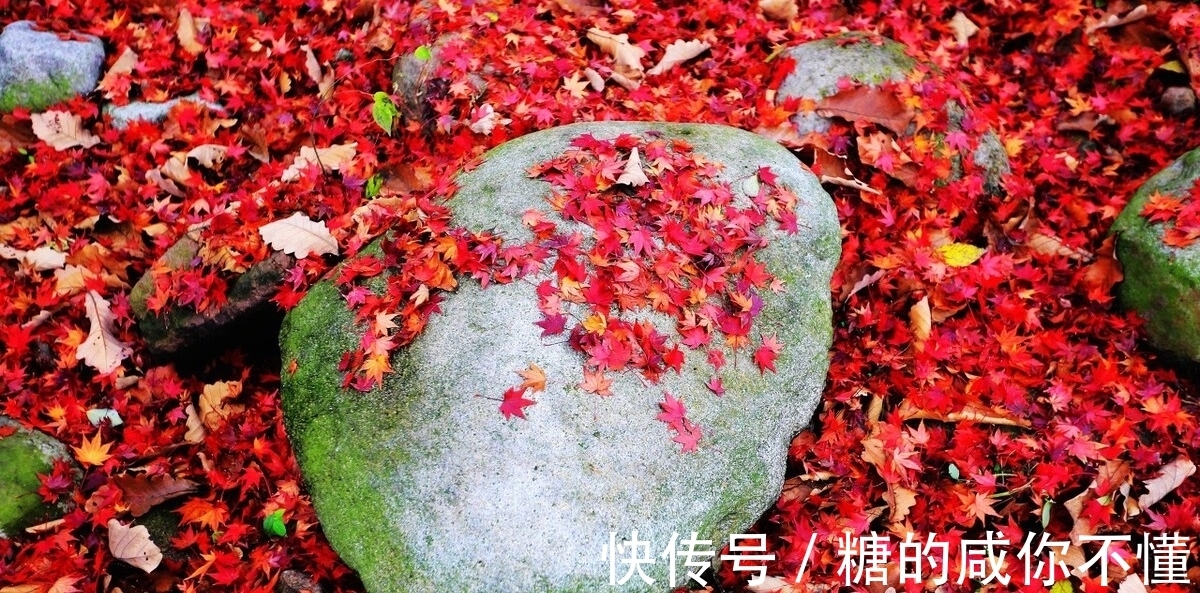 元稹|秋风生渭水，落叶满长安。三首思念朋友的古诗，哪一首能够打动你