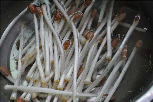 它是“减脂高手”,隔三差五吃2次,刮油促排便,腰围小一码