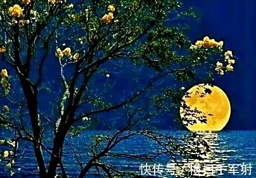 月婵娟@涓涓隽语七律.秋夕感怀,月婵娟,情婵娟,中秋千里共婵娟