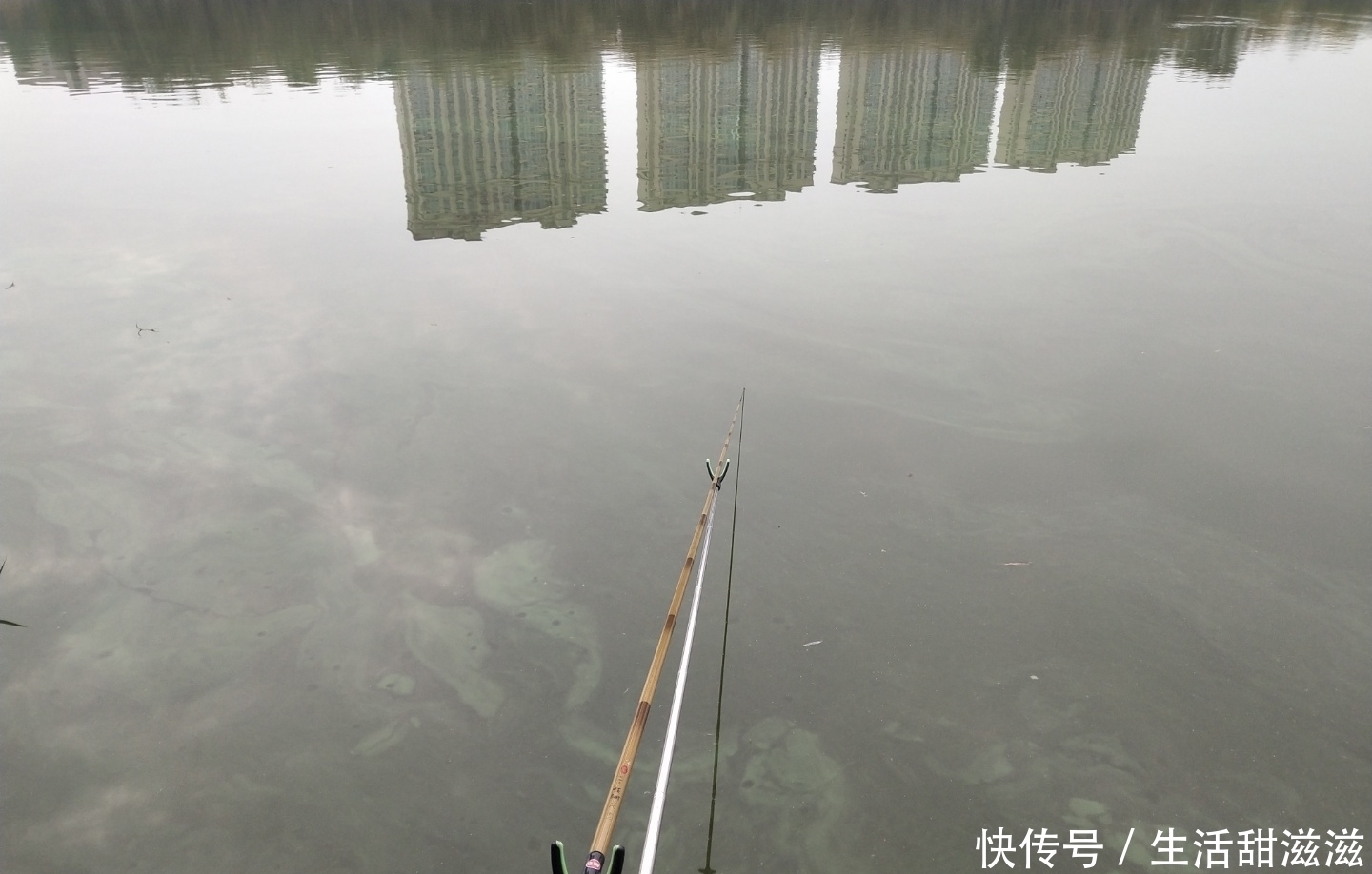 钓鱼人向往的碧玉湖:存鱼8亿公斤却无人垂钓!因为那鱼不能吃?