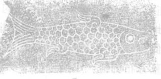 陶正刚丨山西浑源县李峪村东周墓