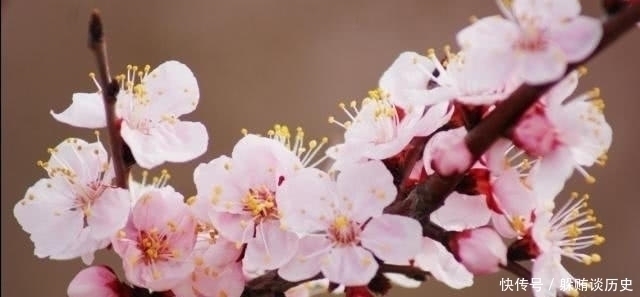 晚晴!李商隐水平很高一首诗,无一喜字却句句是喜,其中10字千古名句