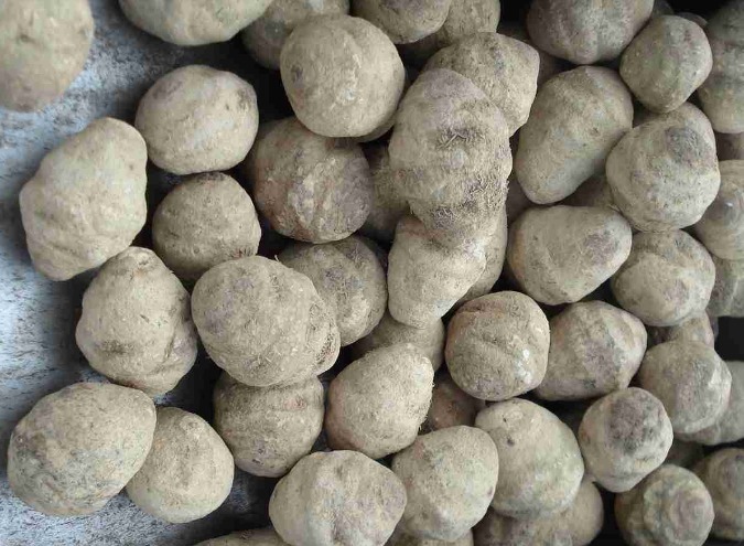 减肥|2类“天然”减肥药，不伤脾胃不伤阳，无数人亲身验证！