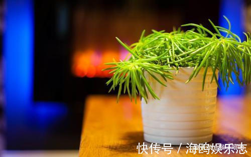 孩子|阴历此月出生的孩子,一个比一个有出息,旺家旺父母,懂事伶俐