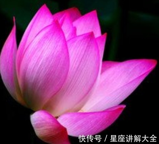 木生火生财局|进入8月中旬，4属相吉星庇佑，桃花朵朵，未来鹏程万里