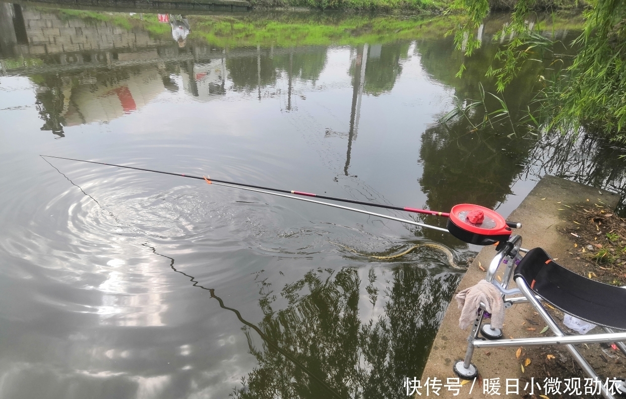 溶氧量|对于夏季上浮的鲫鱼,很多人束手无策;这3招,让您屡试不爽