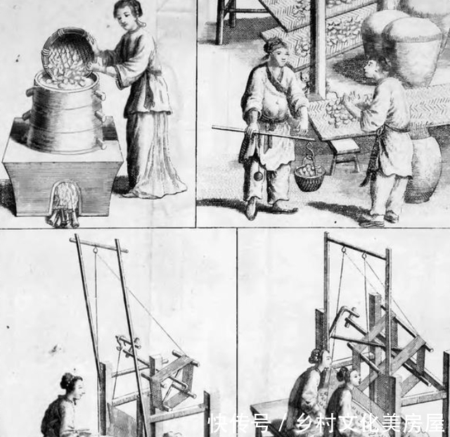 古代丝织业:最早发展在黄河中下游地区,为何会在南方成型?