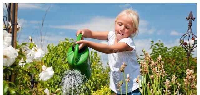 漫谈!漫谈人生(37)·“人生怎么样才能快乐?”