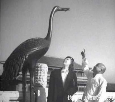 清朝|清朝皇室的败家子,他把自己家的祖文都卖了,最后沦落到拉黄包车!