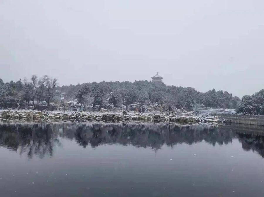 盘点|福虎迎春，盘点山东与“虎”有关的景点，虎年来沾“虎”气吧