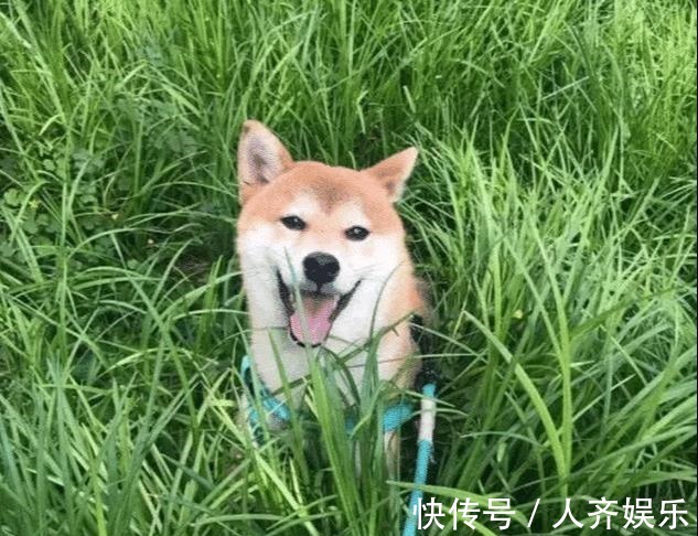 为什么张继科想带走“瓢”,却带走了“盆”原因太搞笑