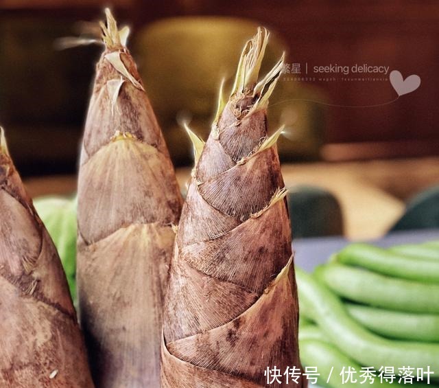 潮州的春季食材让这家新派潮州菜馆在上海越发盎然……!