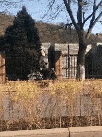 |搞笑GIF段子:大爷还是你大爷,大娘还有3秒到位!